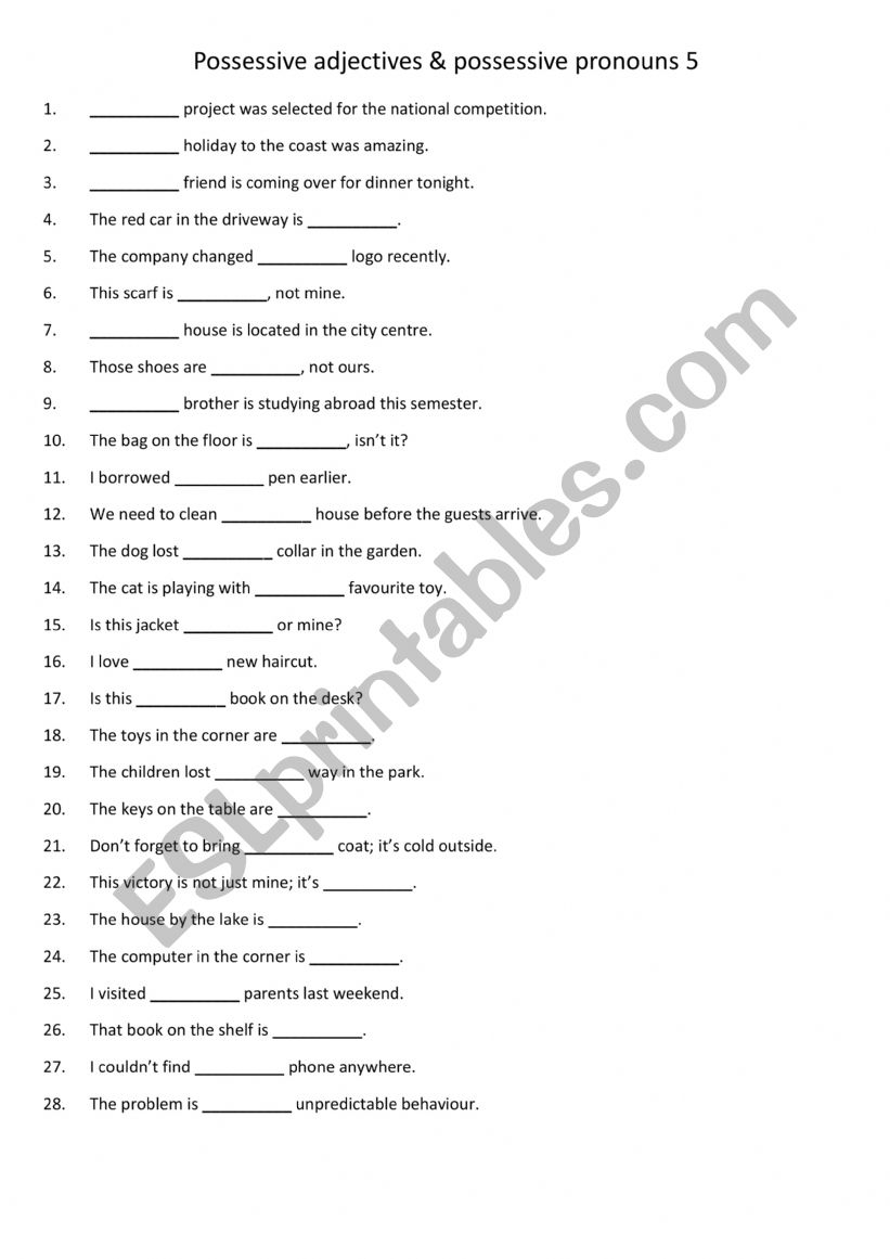 Possessive adjectives & possessive pronouns 5