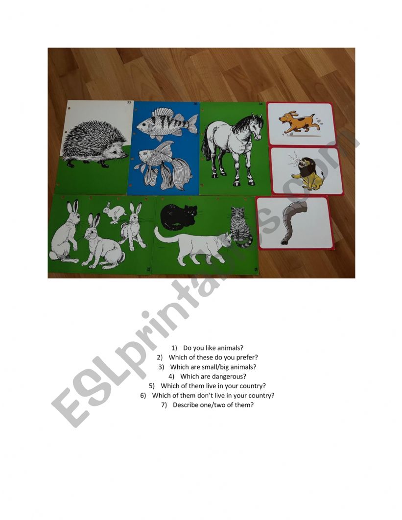 animals worksheet