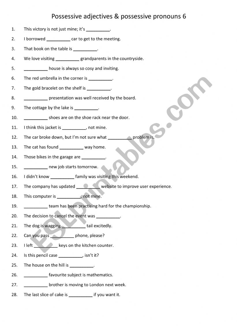 Possessive adjectives & possessive pronouns 6