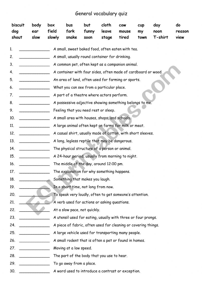 A1 General vocabulary quiz worksheet