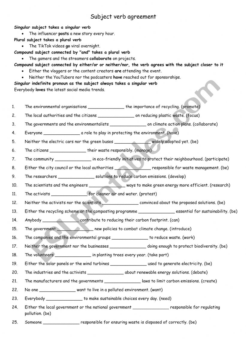 Subject verb agreement practise  3