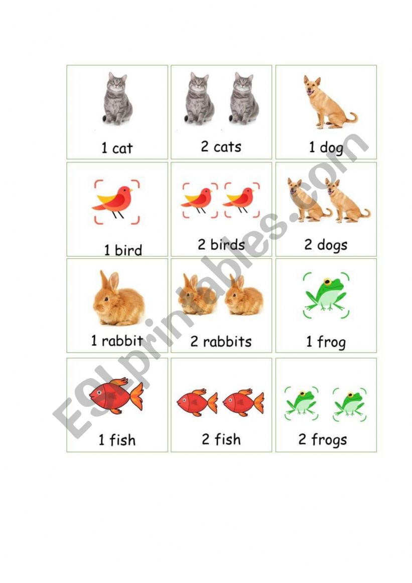 Plurals and irregular plurals of animals flashcards