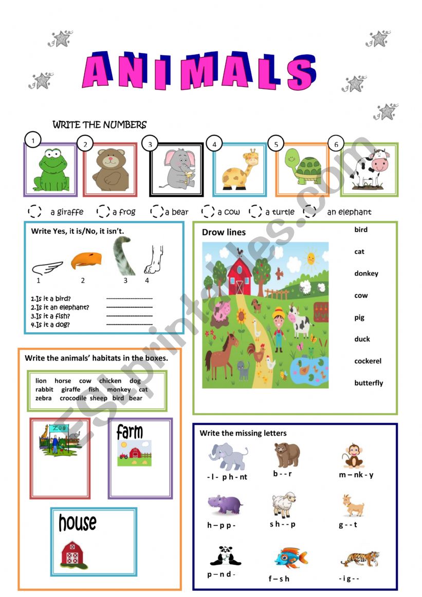 ANIMALS worksheet