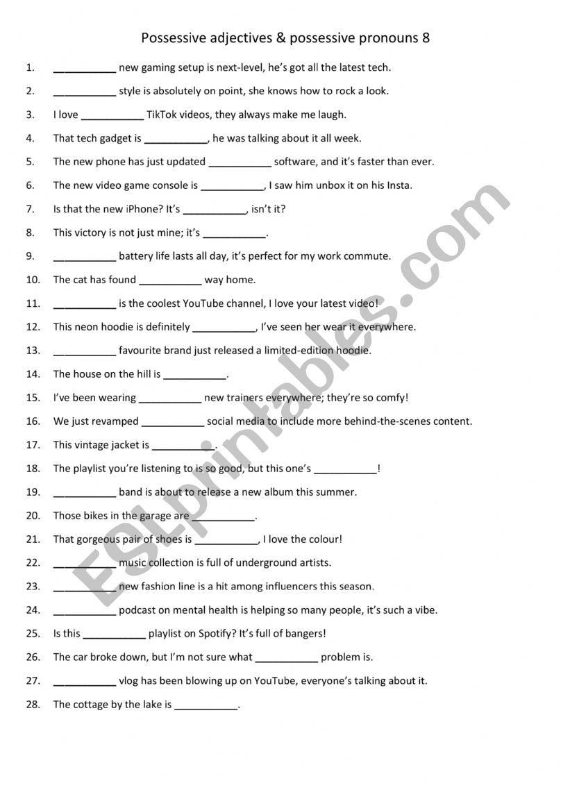 Possessive adjectives & possessive pronouns 8