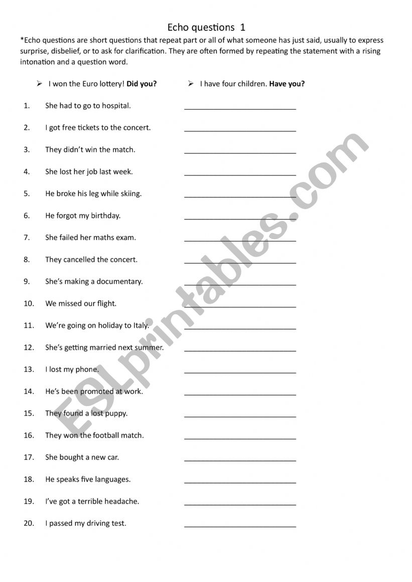 Echo questions 1 worksheet