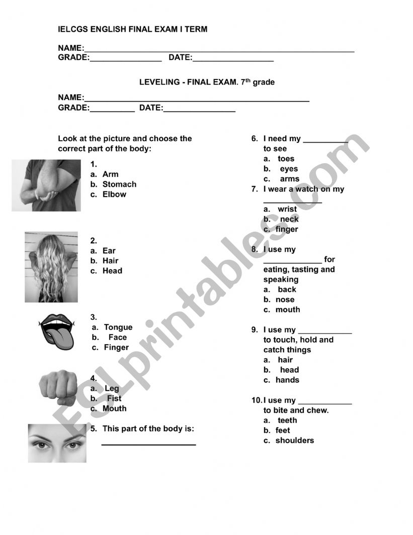 leveling exam worksheet