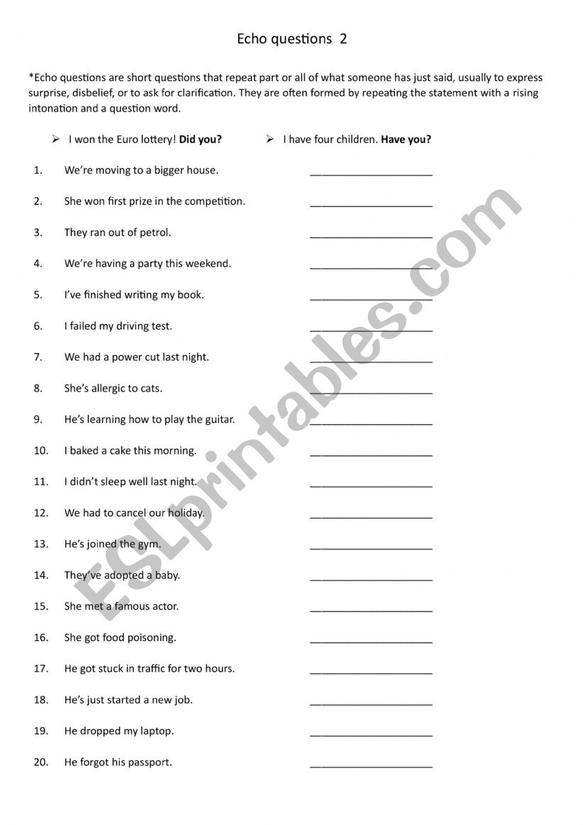 Echo questions 2 worksheet