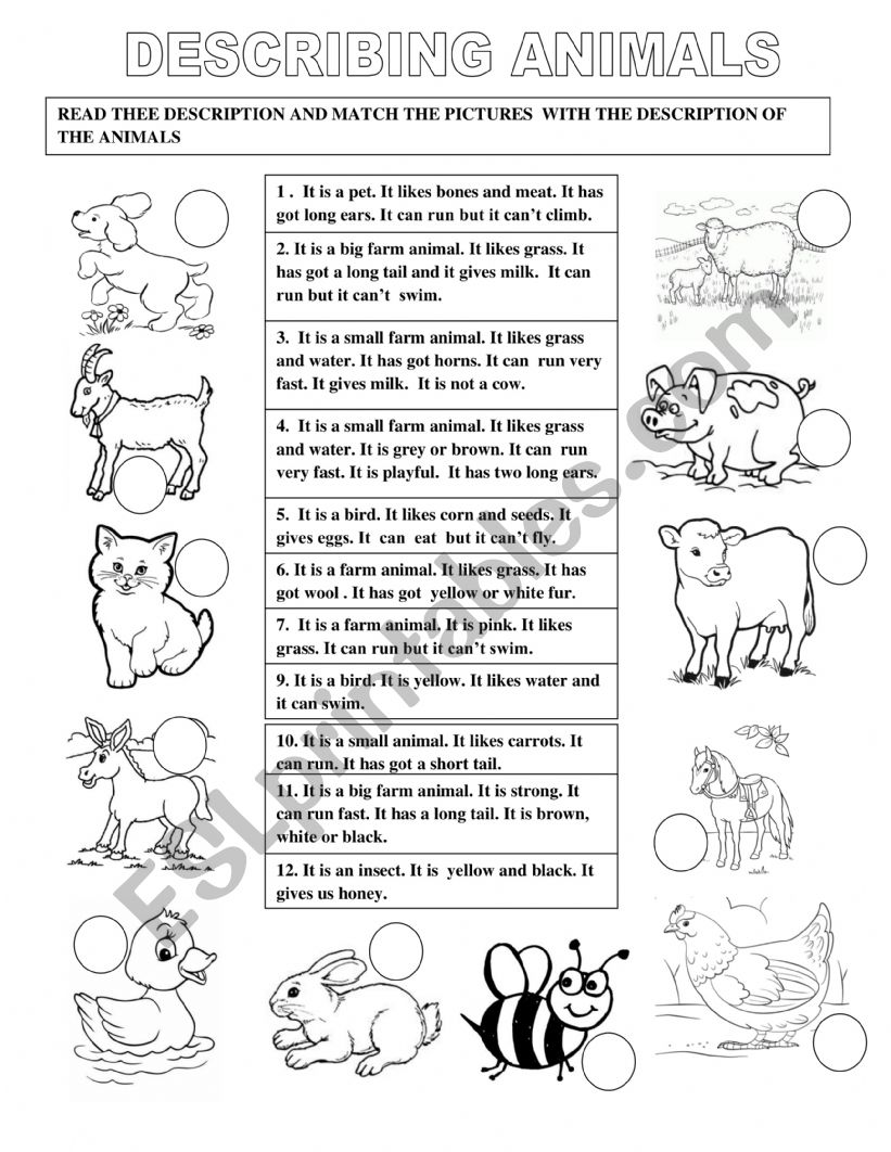 DESCRIBING FARM ANIMALS worksheet