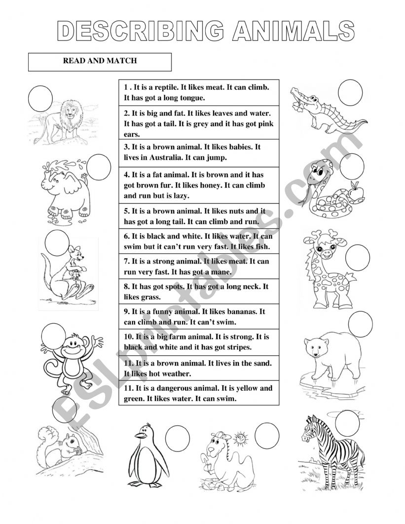 DESCRIBING WILD ANIMALS worksheet