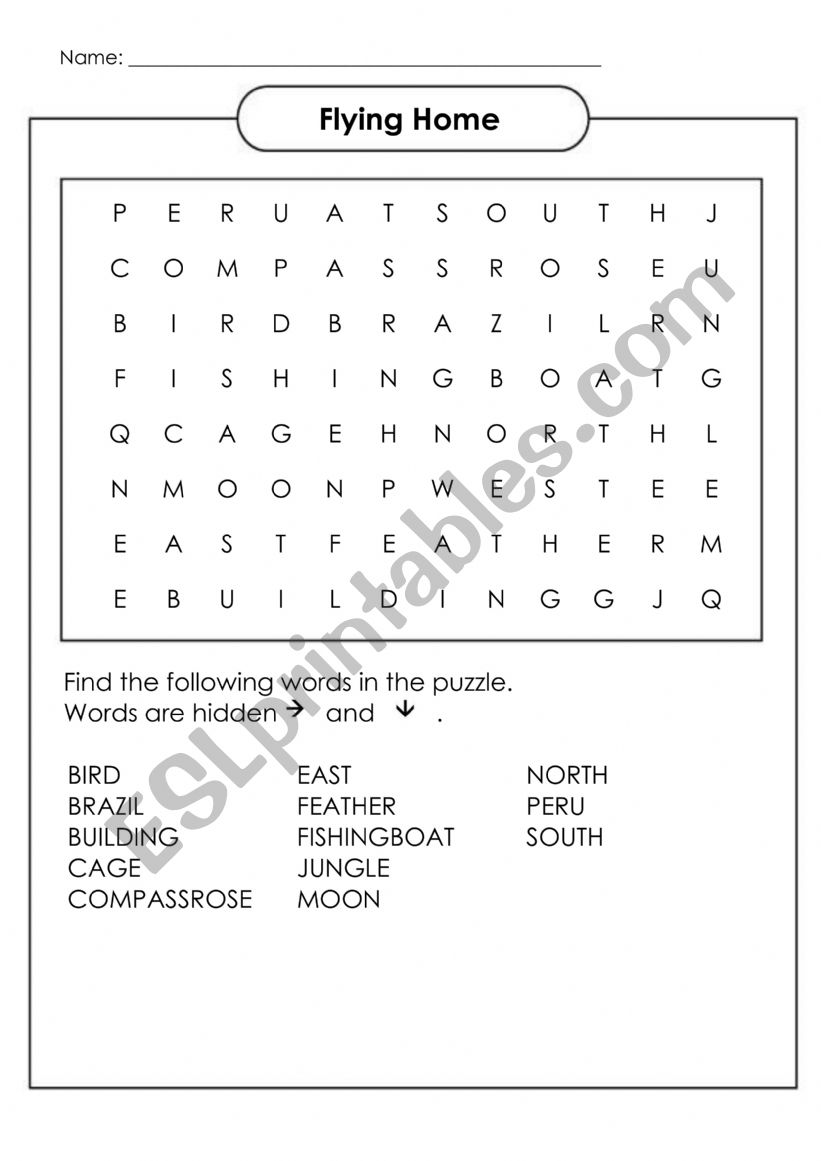 Flying Home Word Search worksheet