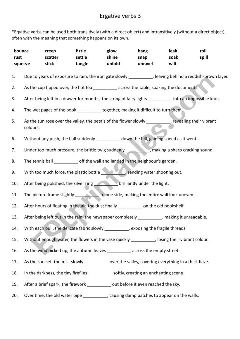 Ergative verbs 3 worksheet