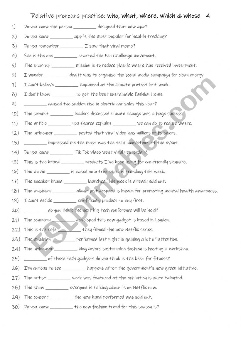 A1+-A2 Relative pronouns practise who, what, where, which & whose 4