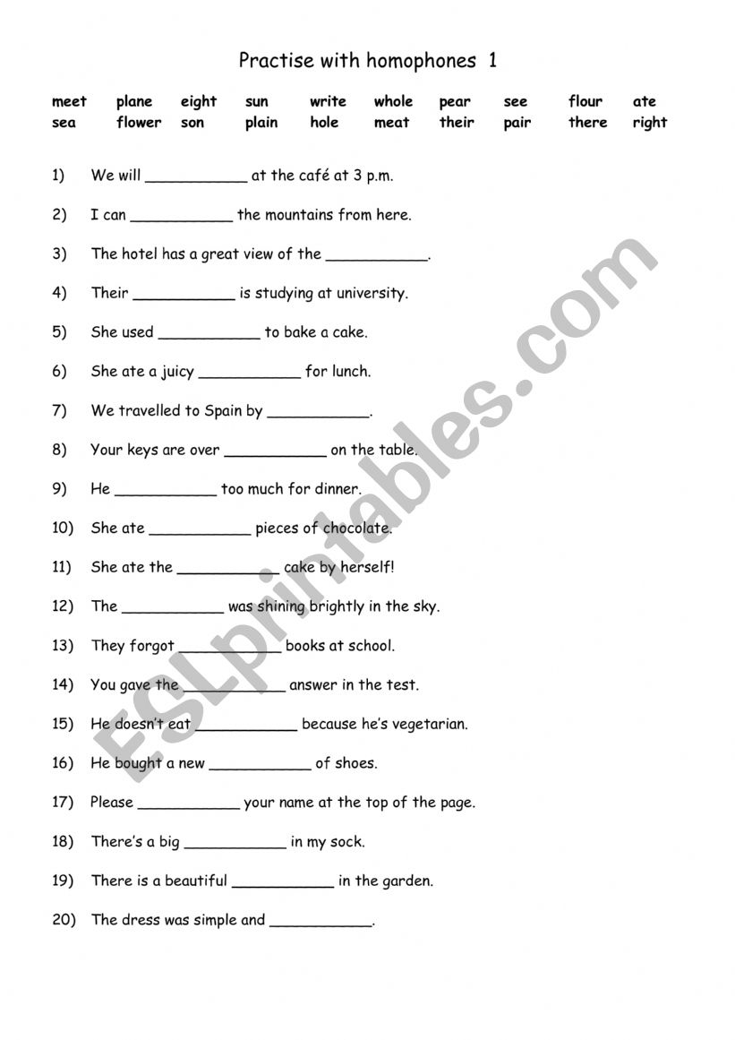 Practise with homophones 1 worksheet