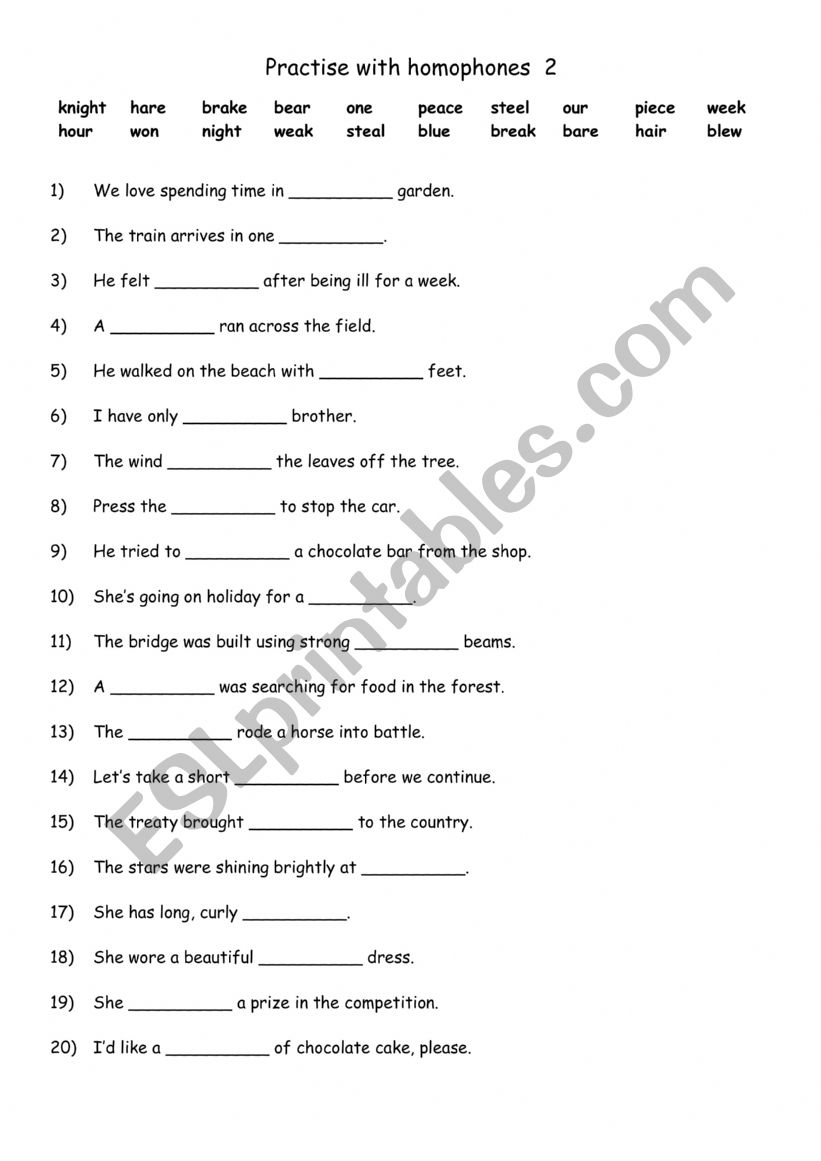 Practise with homophones 2 worksheet