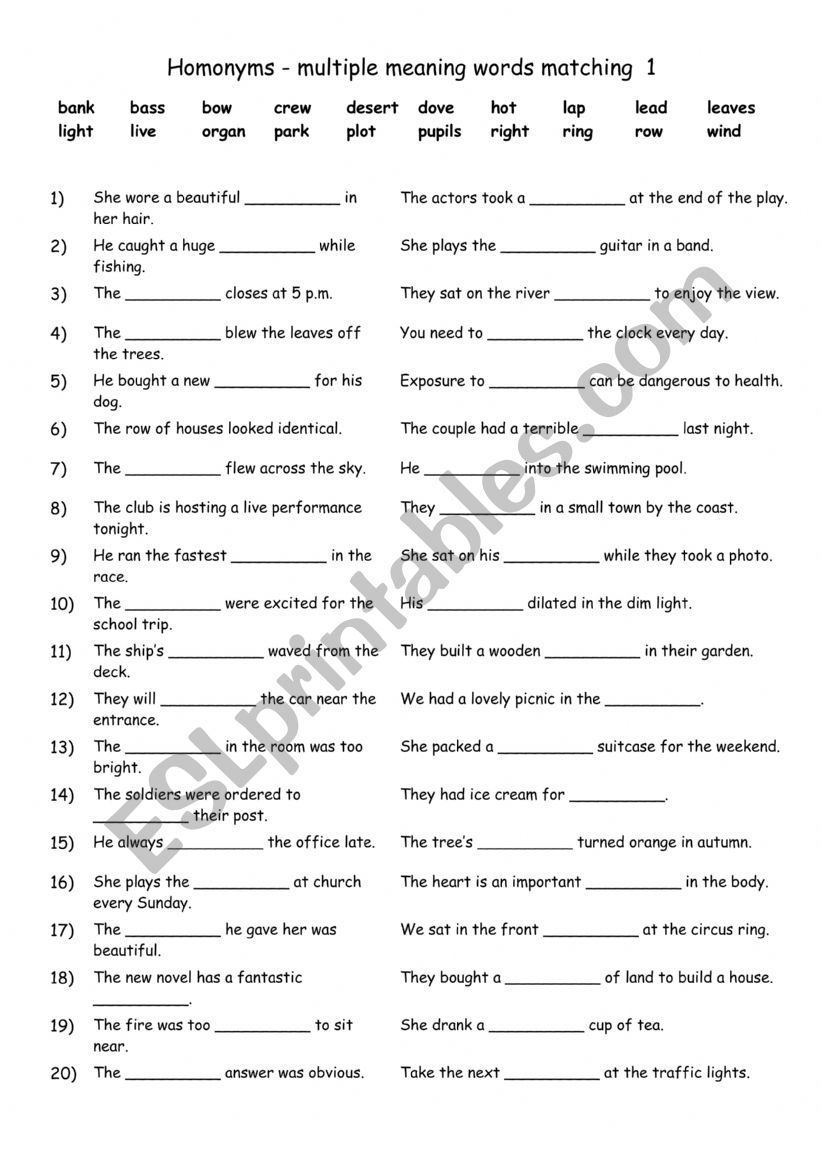 Homonyms - multiple meaning words matching 1