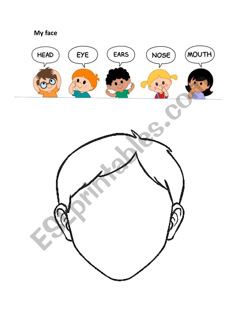 My face worksheet