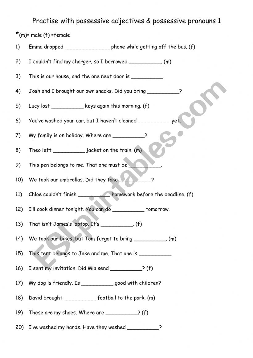 Practise with possessive adjectives & possessive pronouns 1