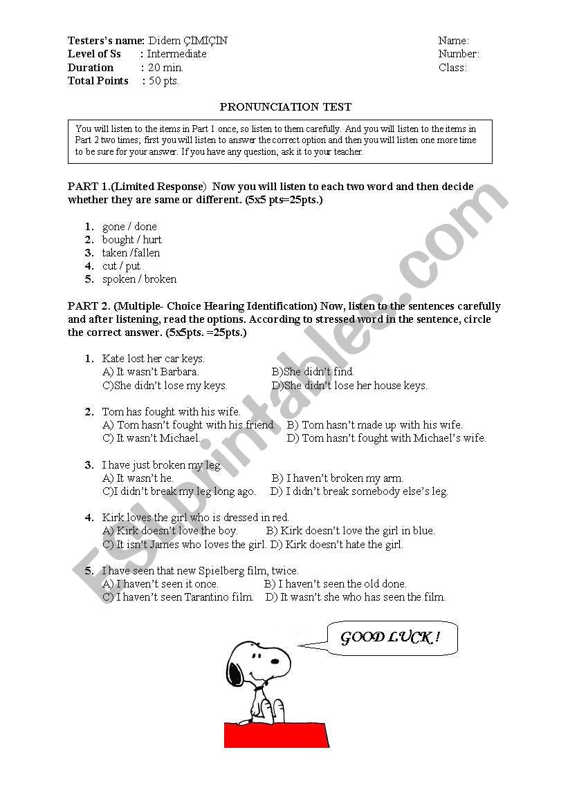 PRONUNCIATION TEST worksheet