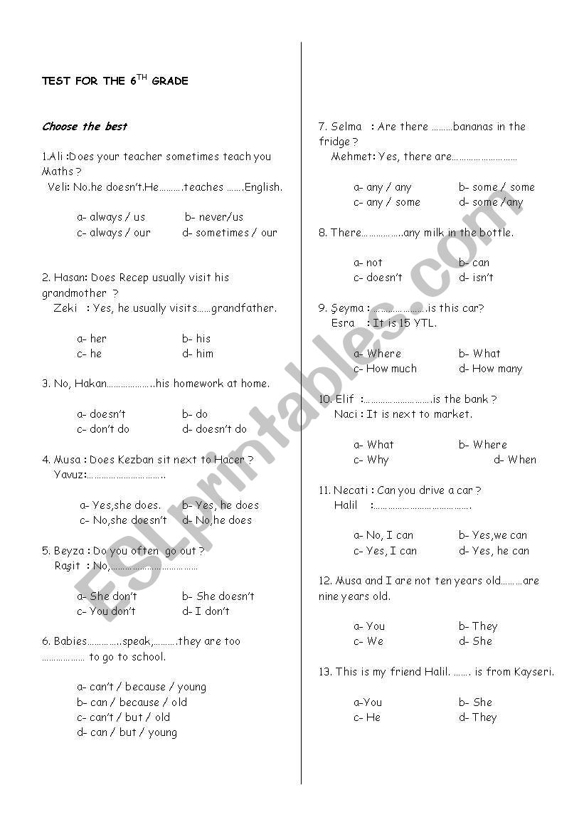 test for 6th grades worksheet