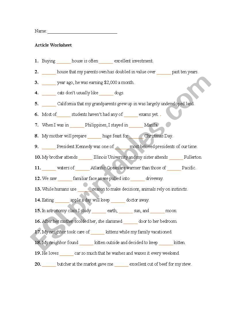 Article Worksheet worksheet