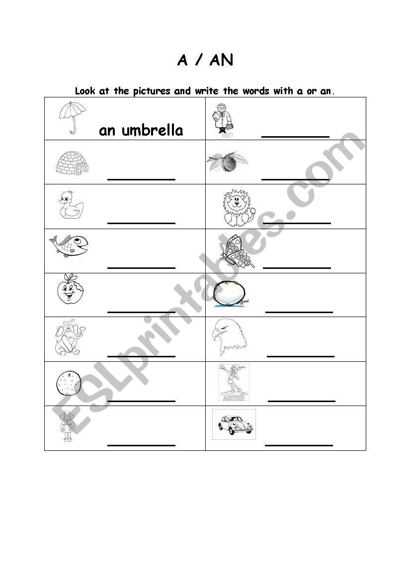 A/AN worksheet