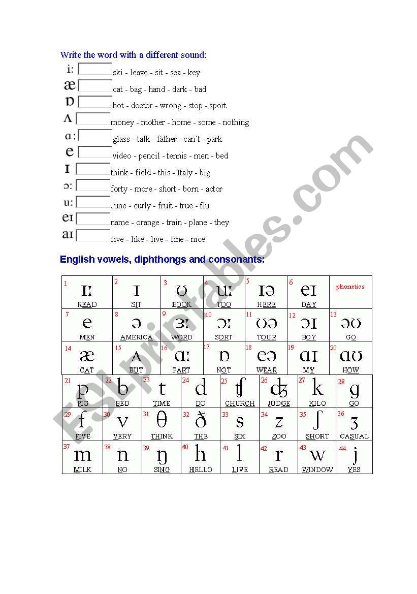 English worksheets: phonetics