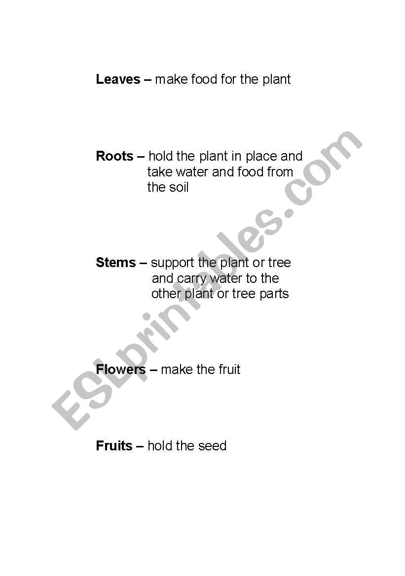 Plant parts and definitions  worksheet