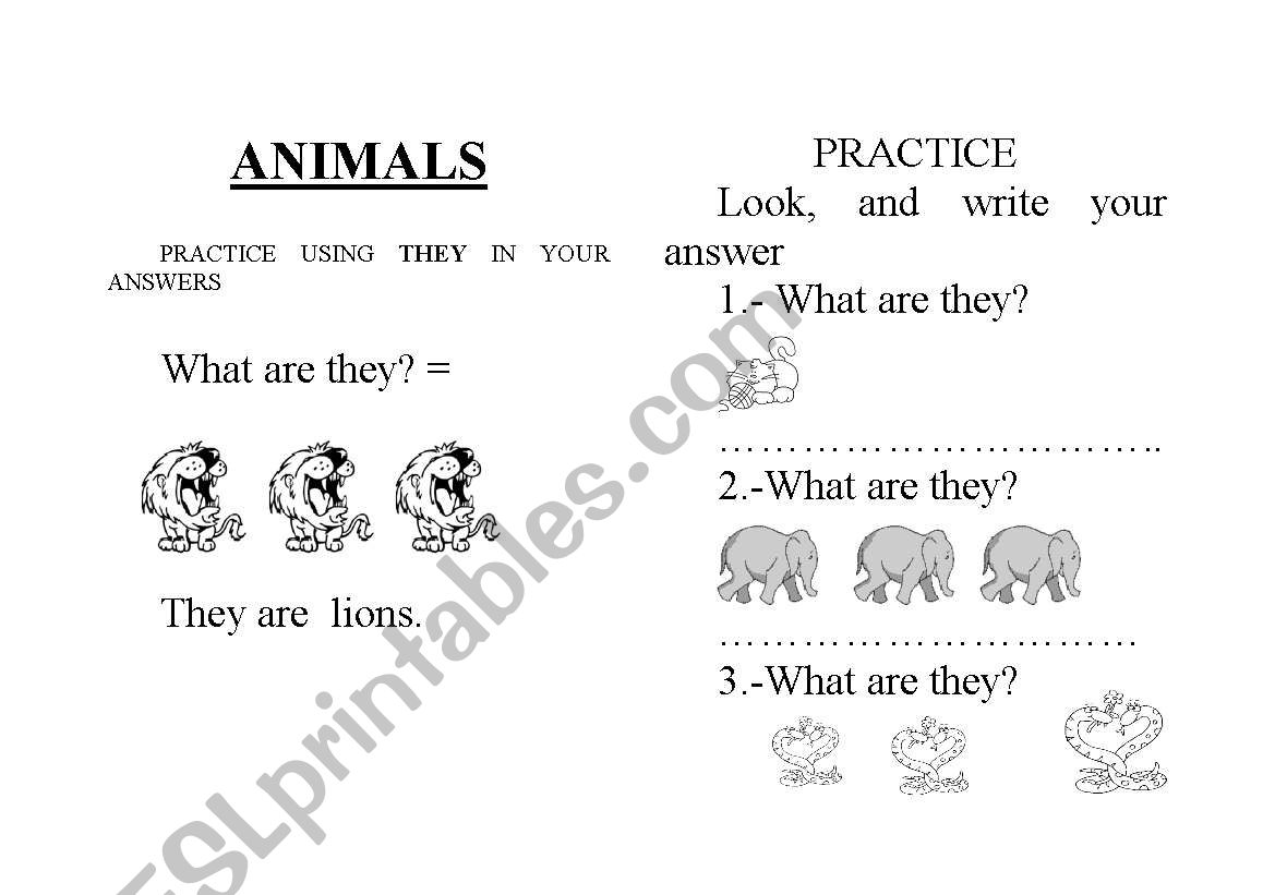 PLURAL FORM USING THEY worksheet