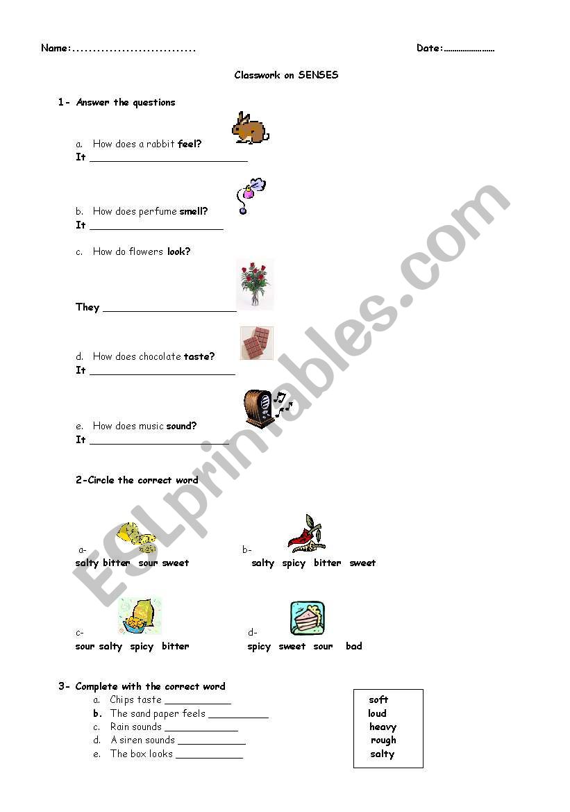 CLASSWORK ON SENSES worksheet