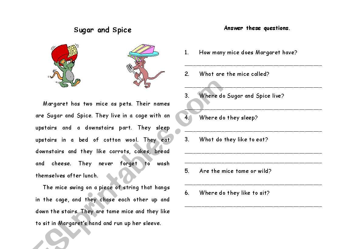 Sugar and Spice worksheet