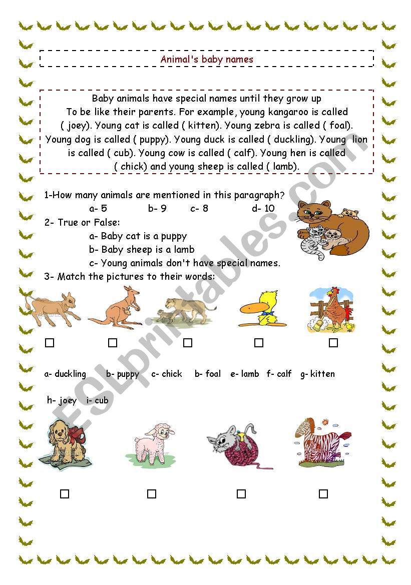 Animal´s baby names - ESL worksheet by r.a.i.n