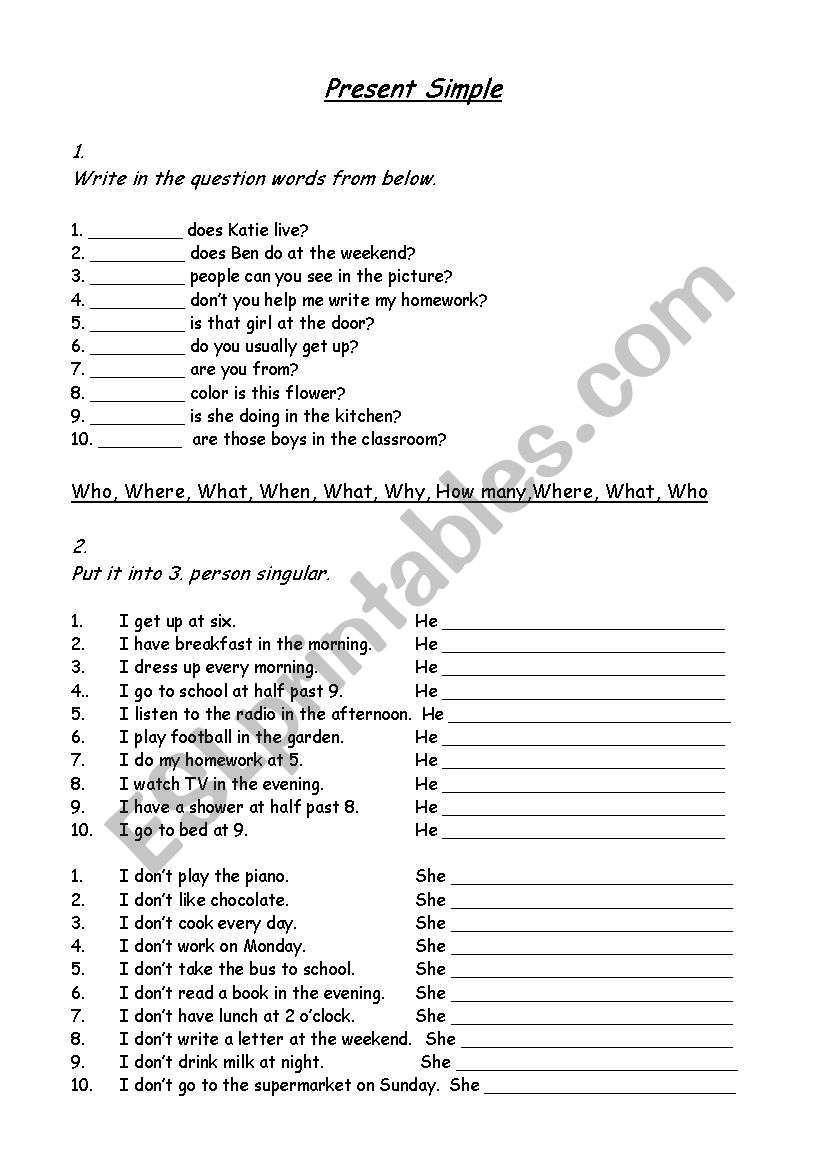 simple present exercise worksheet