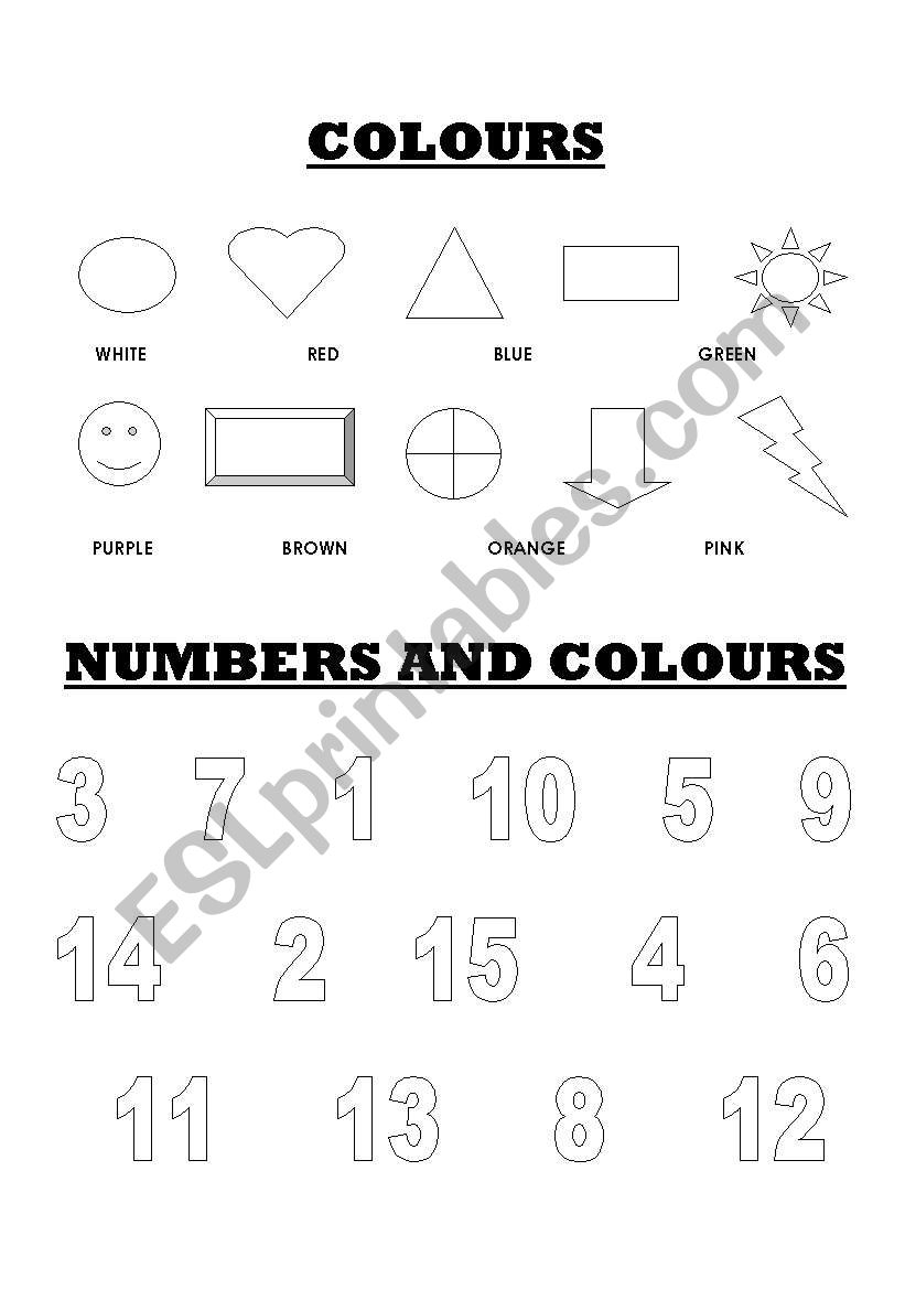 NUMBERS AND COLOURS worksheet