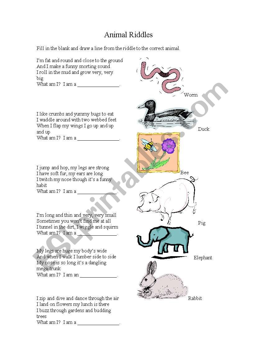 Animal Rhyming Riddles ESL Worksheet By Tperkins