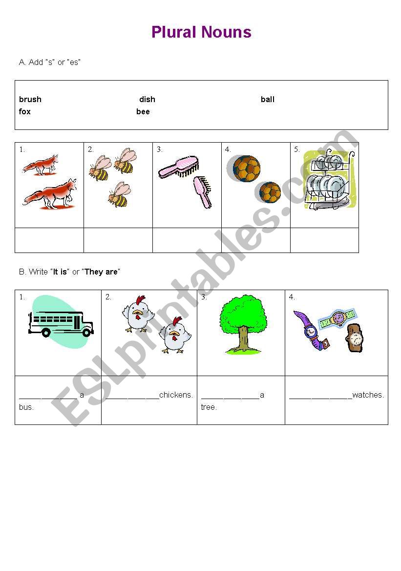 plural nouns worksheet