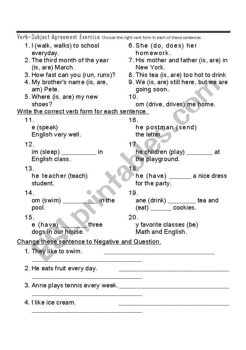 VerbSubject Agreement Exercise