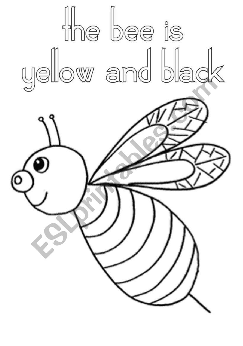 Insects worksheet