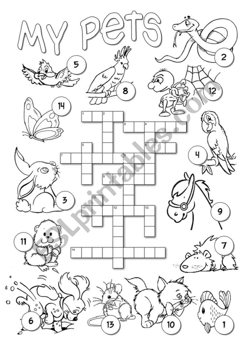 Pets Crossword ESL worksheet by Alenka