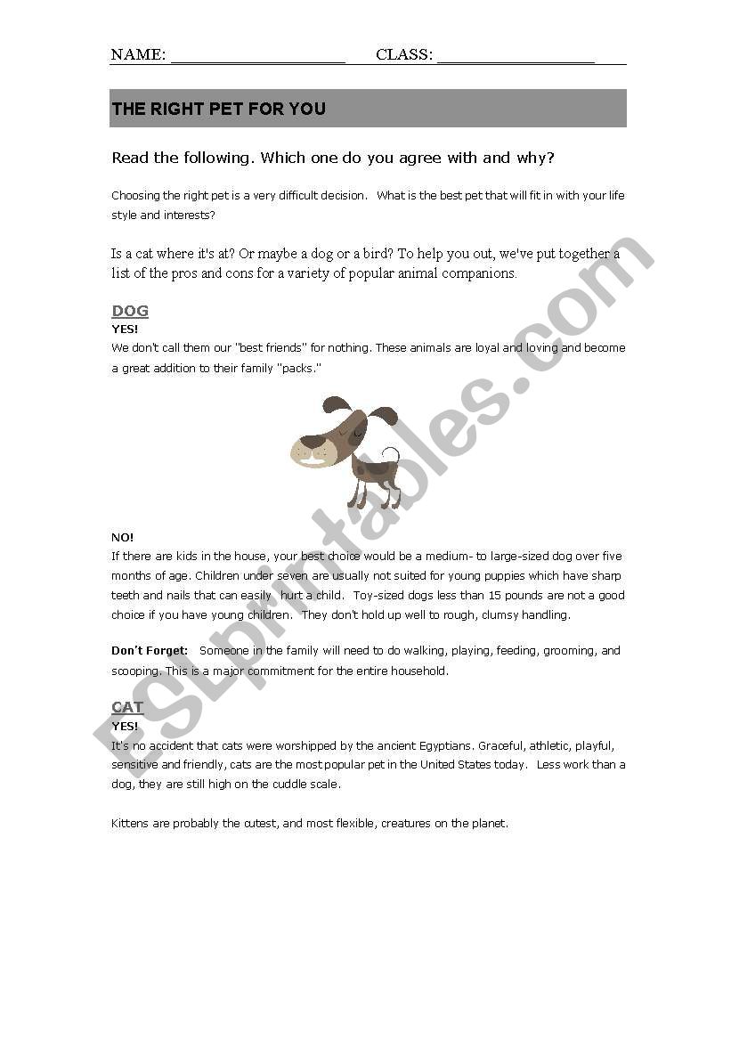 The Right Pet for You worksheet