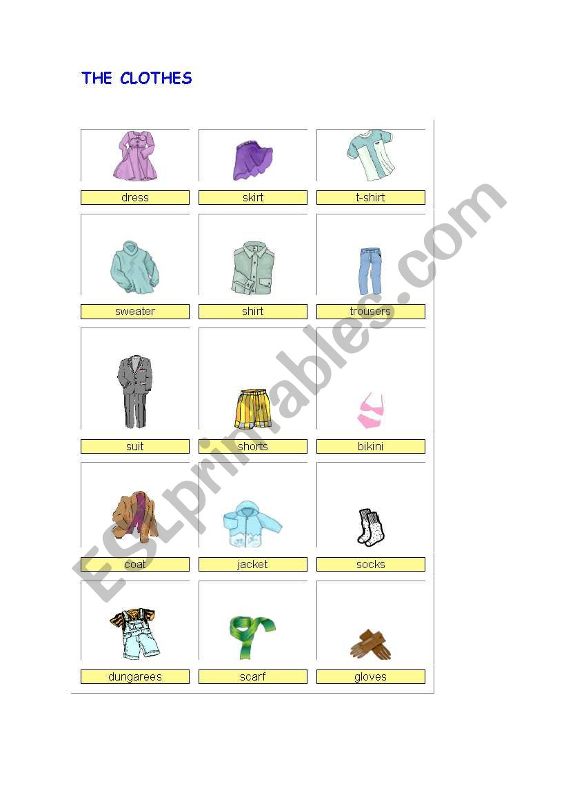 THE CLOTHES worksheet