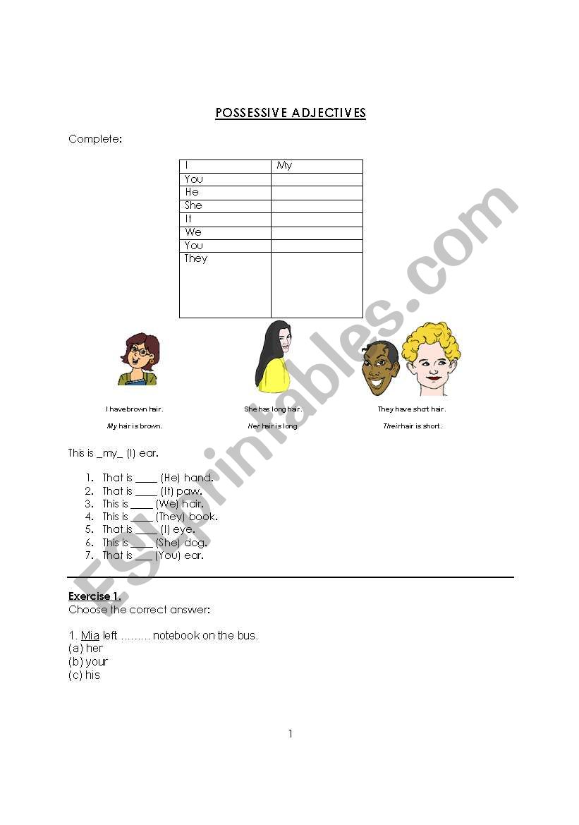 Possessive Adjectives worksheet