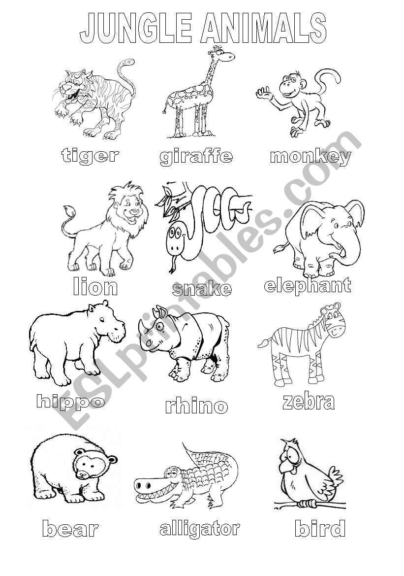 Download Jungle Animals Coloring Sheet - ESL worksheet by shannoncronin