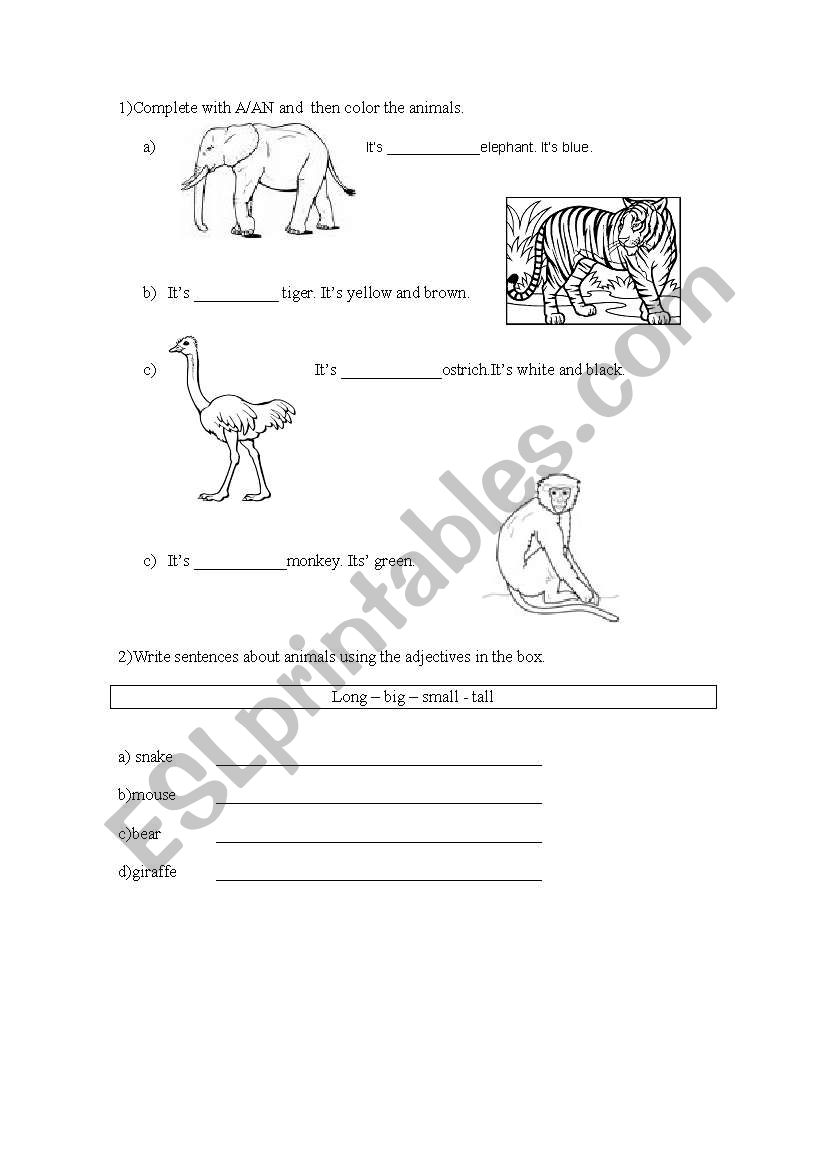 a/ an , adjectives worksheet