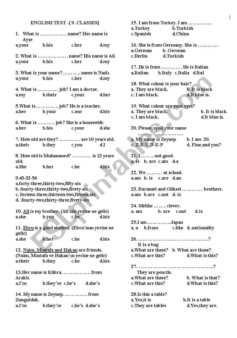 6.class english exam worksheet