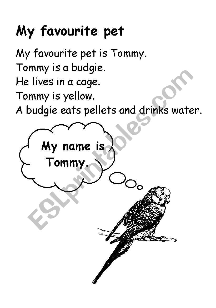 My favourite pet worksheet