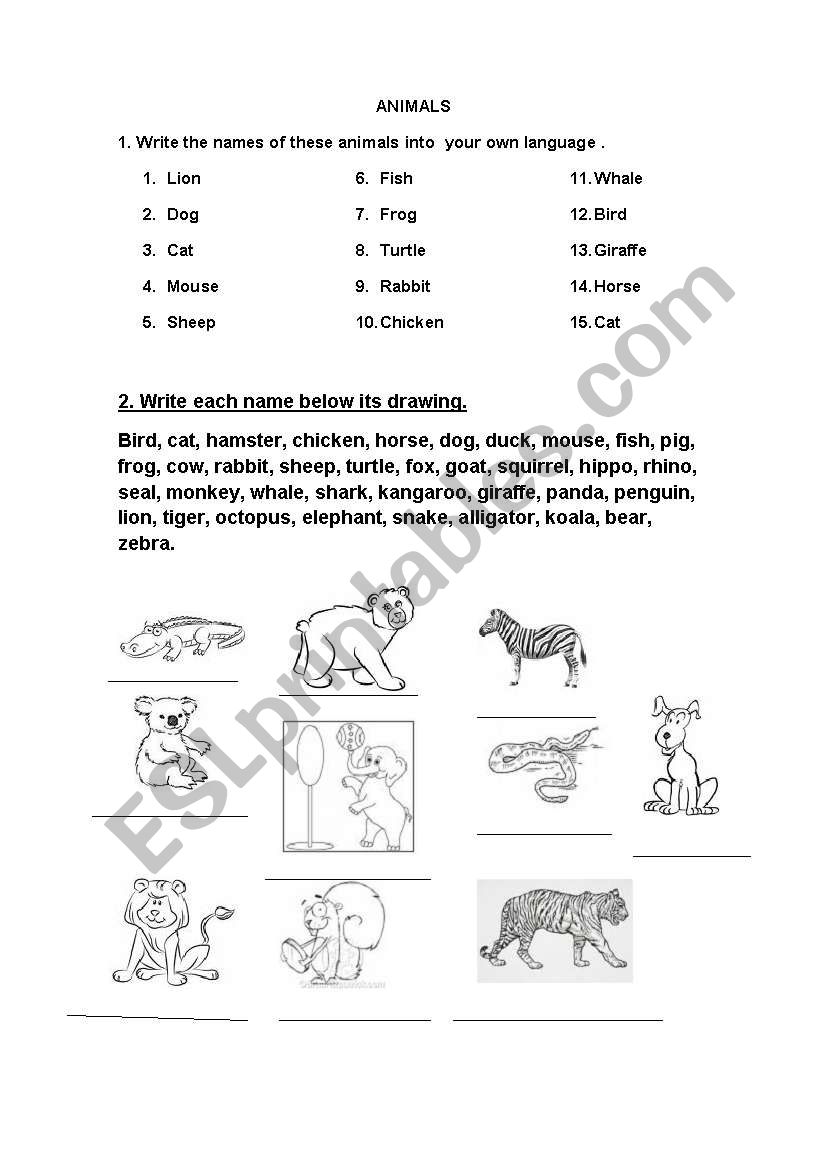 English Worksheets: Animals´names And Descrptions