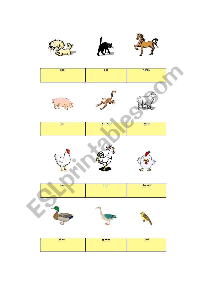 matching exercise worksheet