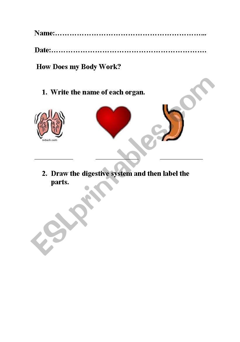 English Worksheets How Does My Body Work 