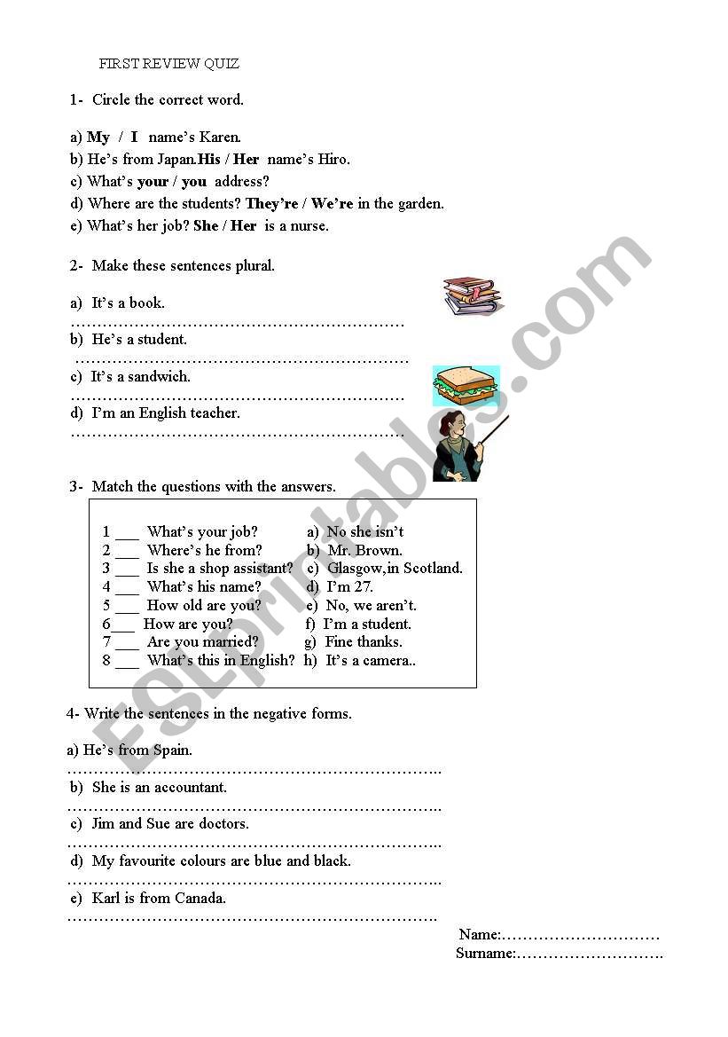 review quiz for beginners worksheet
