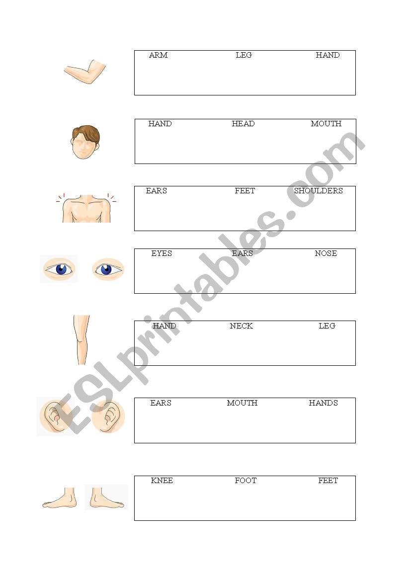 Body parts quiz #2 worksheet
